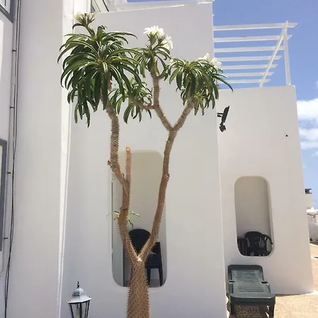 Panelos B1 * Puerto del Carmen (Lanzarote)