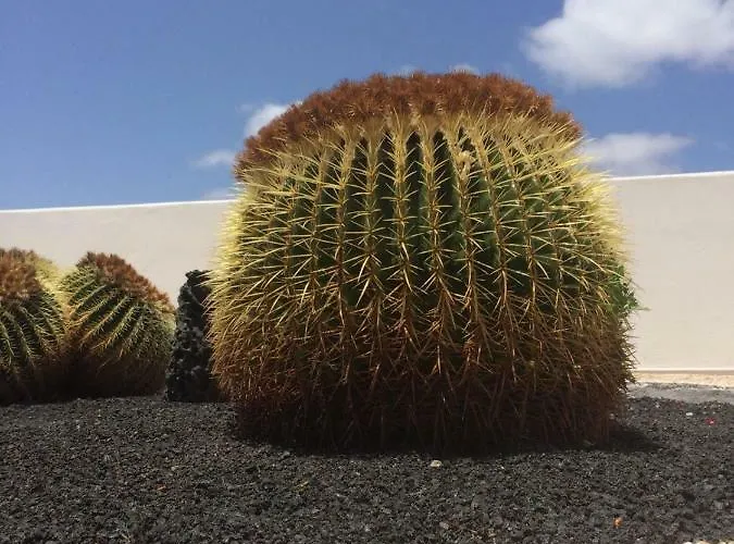 Panelos B1 아파트 *