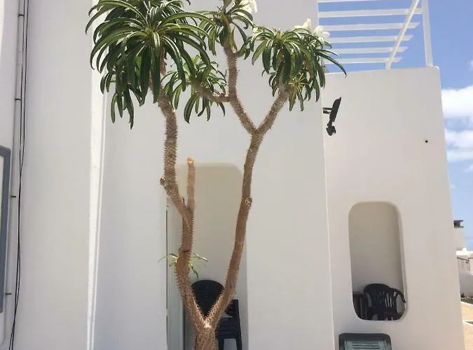 Panelos B1 * 푸에르토 델 카르멘