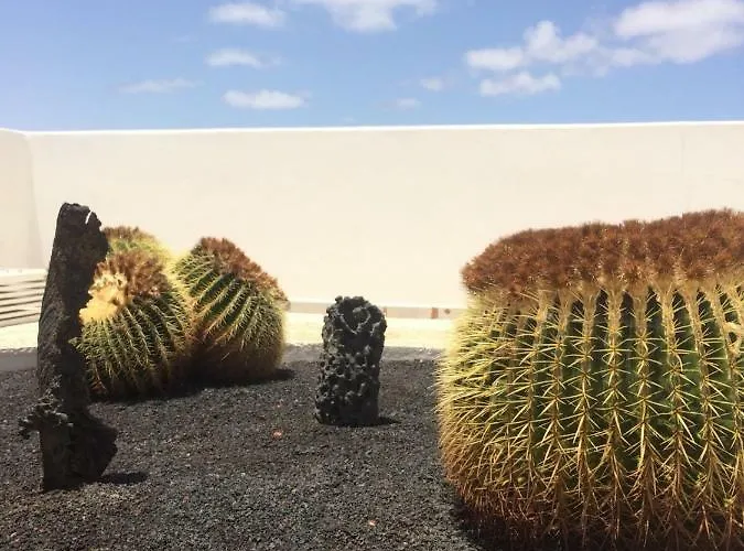 Panelos B1 * 푸에르토 델 카르멘